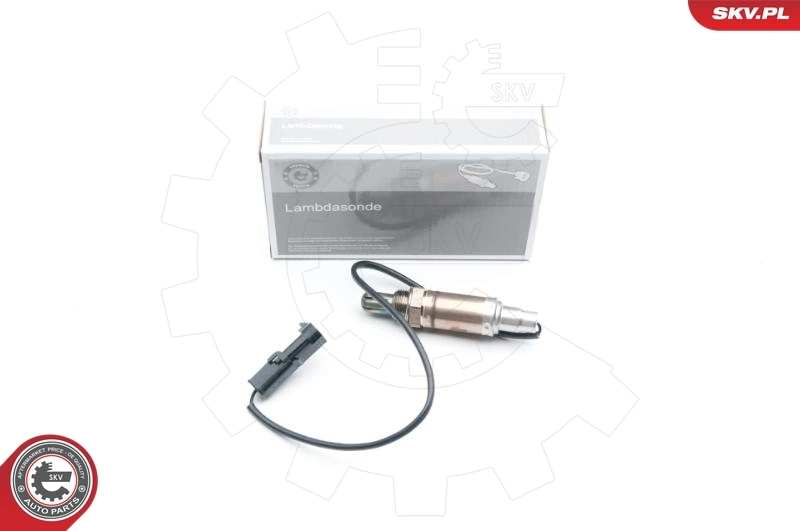 Oxygen Sensor